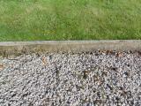 image of grave number 583401